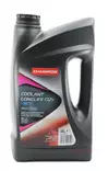 Champion Coolant -36°C Longlife G12+ 4L Jäähdytinneste - Jäähdytinnesteet - 8229640 - 1