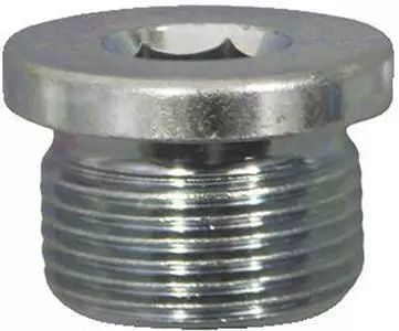 Öljytulppa FIAT 1KPL M22X1,5X14,5 - Öljytulpat ja tiivisteet - 670-P61083400 - 1
