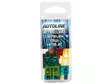 Sulake blister GM 10 kpl + atulat - Autosulakkeet - 1569-11001 - 1