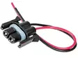 Lampunkanta H8/H9/H11 ,Bobcat Ym - Polttimon kannat - 1605-1502 - 1