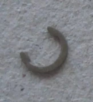 Thetford sannen saranatapin lukkorengas EM Electra Magic - Kaikki Thetford kasettivessojen varaosat - 03922 - 1