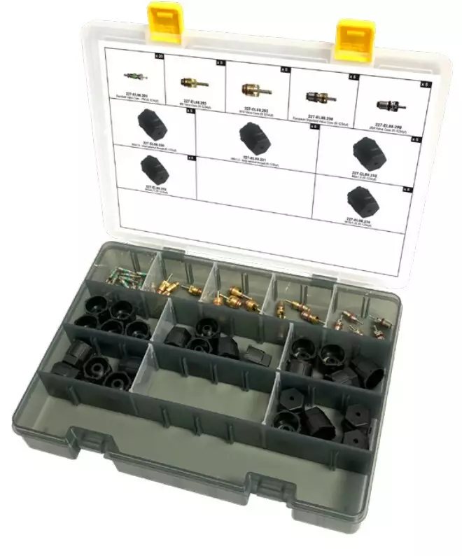 Venttiilin ydin ja korkkilajitelma R1234YF - Ilmastointihuoltolaitteiden varusteet - 227-EL88322 - 1