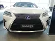 Maskisuoja Lexus RX450h 2018-2019 - Muut maskisuojat - TS1003 - 1