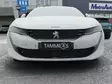 Maskisuoja Peugeot 508 2020- - Peugeot maskisuojat - TS893 - 1