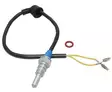 LÄMPÖTUNNISTIN D9W HYDR 10 - Eberspächer varaosat - EBE251816990114 - 1