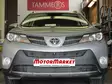 Maskisuoja Toyota RAV4 2013-2015 - Toyota maskisuojat - TS334 - 1
