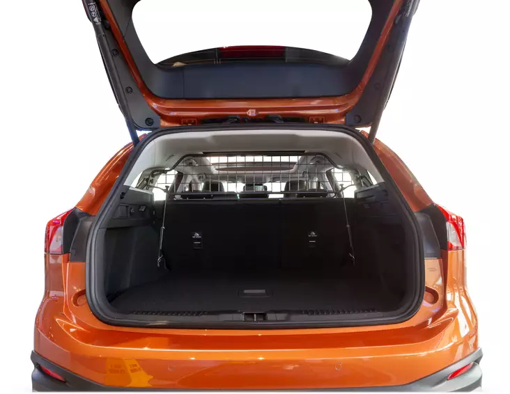 Koiraverkko Focus Estate 2018- - Ford koiraverkot - TDG1624 - 1