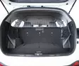Koiraverkko Kia Sorento ilman kattoluukkua 2015- - Kia koiraverkot - TDG1555 - 1