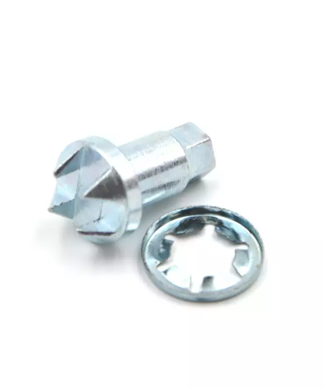 Säätöruuvi ja varmistusrengas BPW - Peräkärryn jarruvaraosat - 125-4010105 - 1