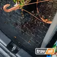 Tavaratilanmatto Mercedes E-sarja Sedan 2016- - Mercedes-benz tavaratilan matot - TBM1176 - 4