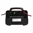 Akkulaturi 30A 12/24 V, 12V/15A 24V/13A 30- - Akkulaturit autoon - 8697 - 3