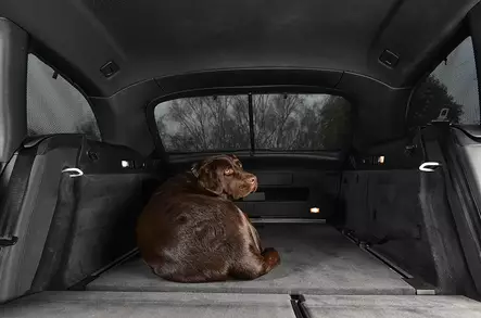 Häikäisysuojasarja Audi - Audi aurinkosuojat - AU-A4-E-A - 2