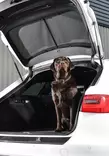 Häikäisysuojasarja Volvo - Volvo aurinkosuojat - VOL-V60-E-B - 2