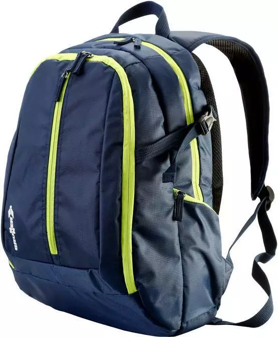 Kylmälaukku Reppu Friobag Daypack Sininen - Kylmälaukut - 0824013N - 1